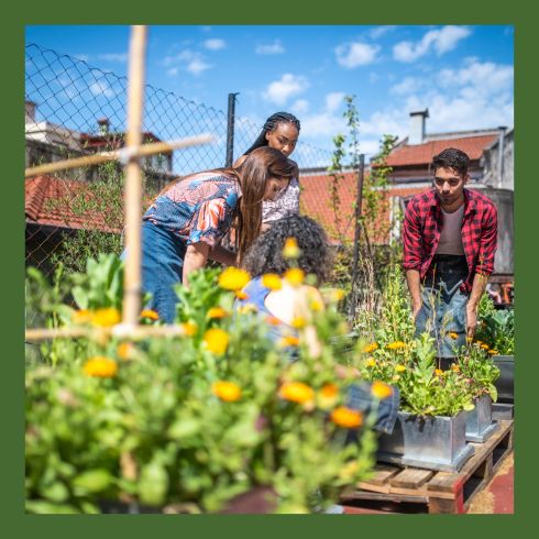 Group of people gardening